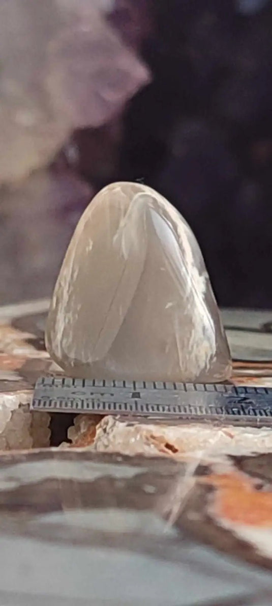 Pierre de lune Adulaire du Brésil pierre roulée Grade A++++ Pierre de lune Adulaire roulée