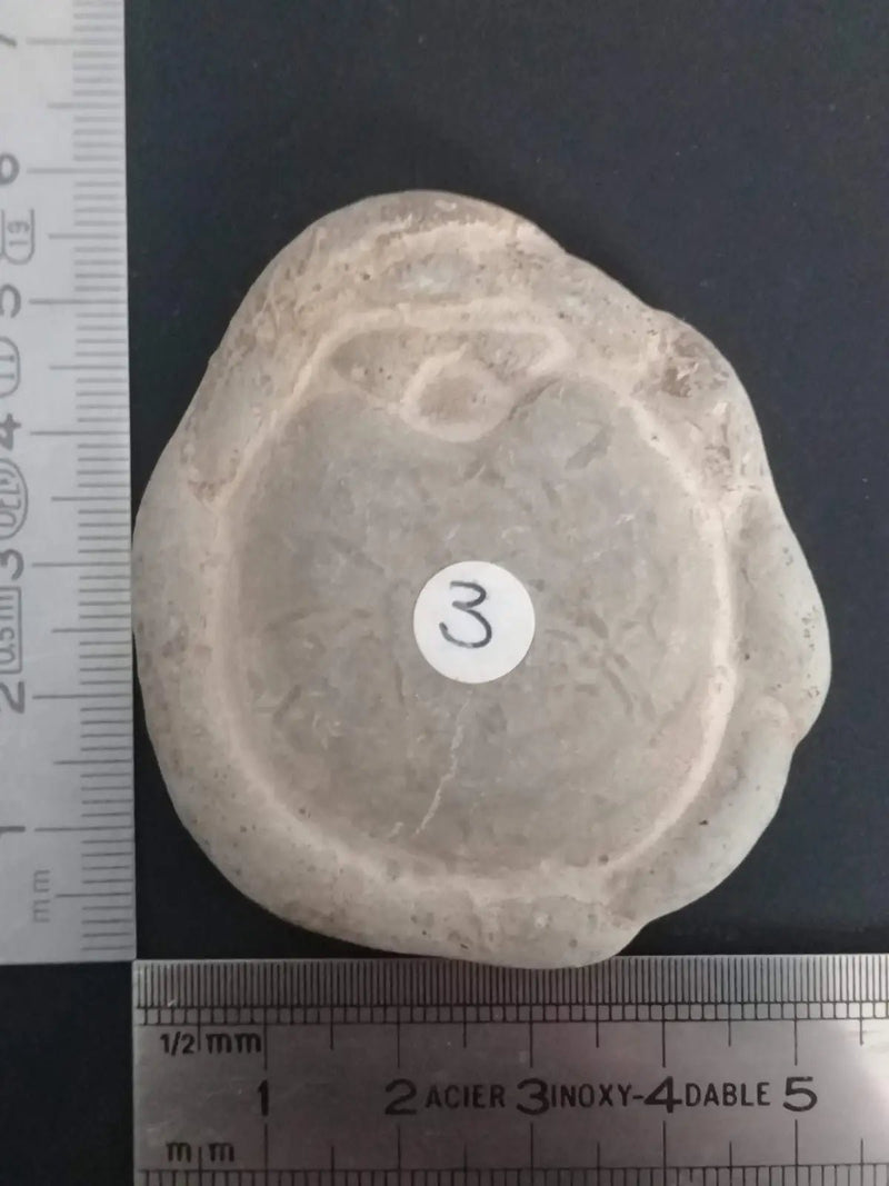 Load image into Gallery viewer, Pierre des fées - Ménalite du Québec pierre brute Grade A++++ Pierre des fées du Québec Ménalite pierre brute
