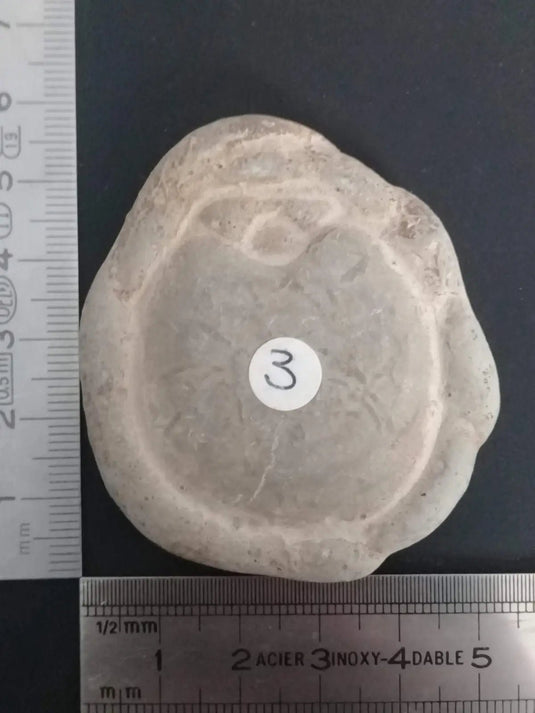 Pierre des fées - Ménalite du Québec pierre brute Grade A++++ Pierre des fées du Québec Ménalite pierre brute