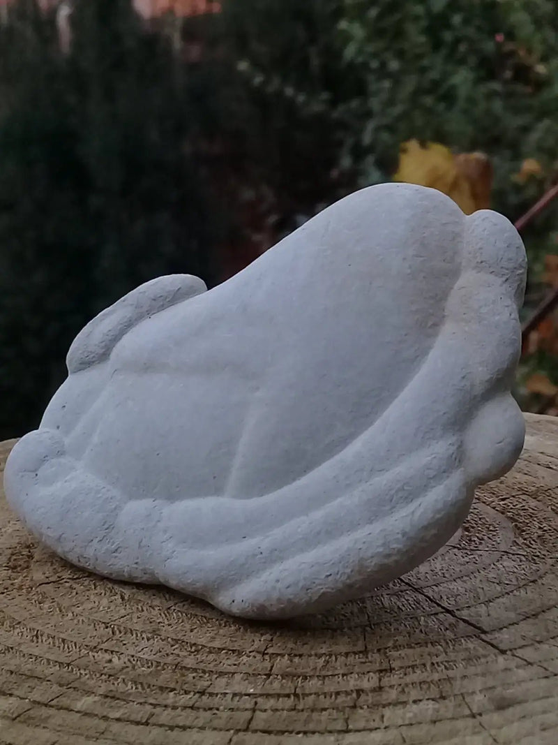 Load image into Gallery viewer, Pierre des fées - Ménalite du Québec pierre brute Grade A++++ Pierre des fées du Québec Ménalite pierre brute
