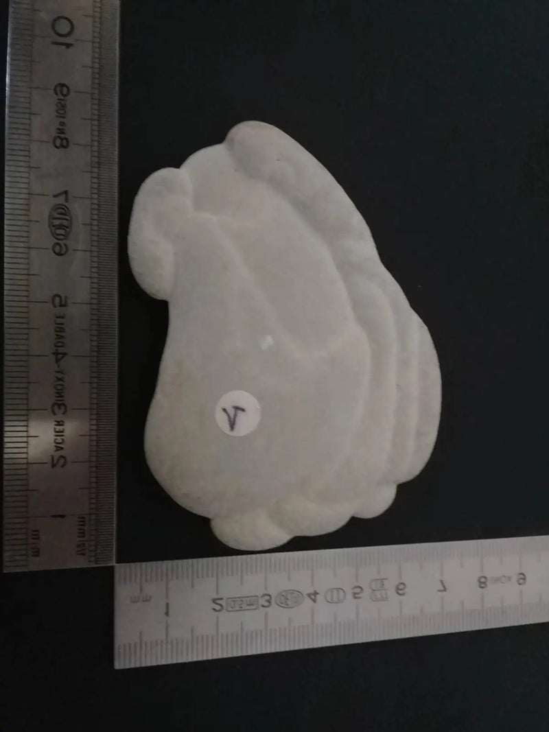 Load image into Gallery viewer, Pierre des fées - Ménalite du Québec pierre brute Grade A++++ Pierre des fées du Québec Ménalite pierre brute
