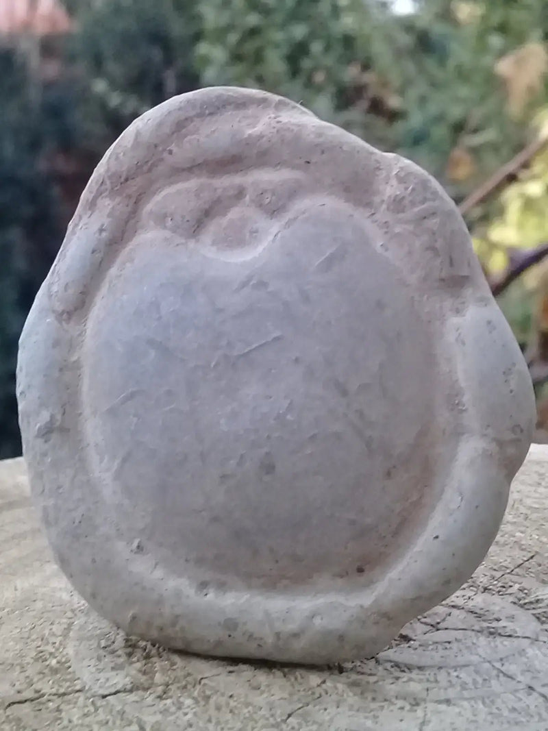 Load image into Gallery viewer, Pierre des fées - Ménalite du Québec pierre brute Grade A++++ Pierre des fées du Québec Ménalite pierre brute
