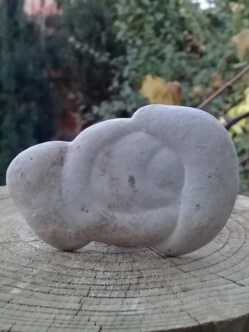 Load image into Gallery viewer, Pierre des fées - Ménalite du Québec pierre brute Grade A++++ Pierre des fées Ménalite du Québec pierre brute
