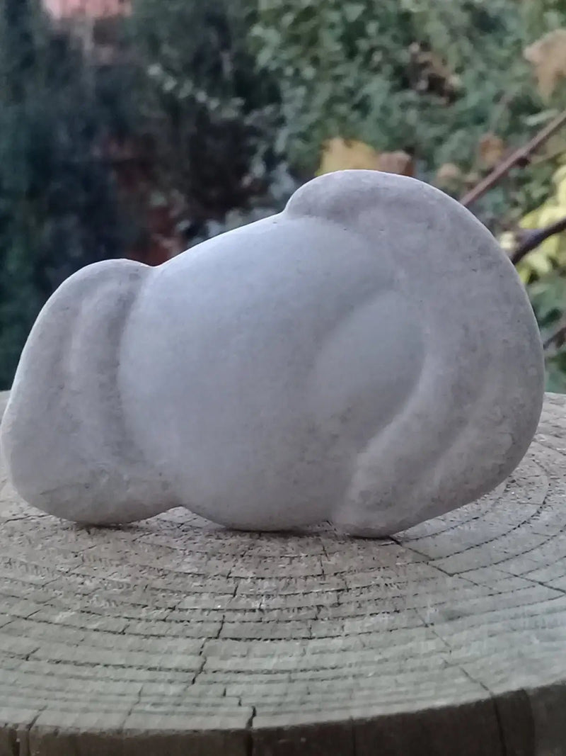 Load image into Gallery viewer, Pierre des fées - Ménalite du Québec pierre brute Grade A++++ Pierre des fées Ménalite du Québec pierre brute
