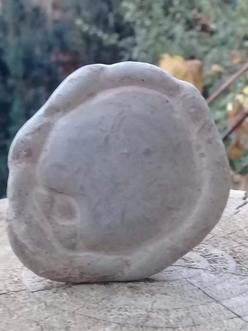 Load image into Gallery viewer, Pierre des fées - Ménalite du Québec pierre brute Grade A++++ Pierre des fées du Québec Ménalite pierre brute
