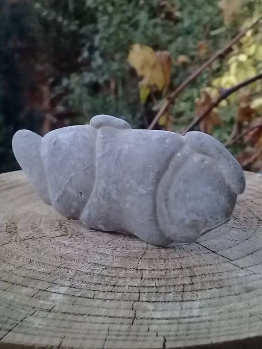 Pierre des fées - Ménalite du Québec pierre brute Grade A++++ Pierre des fées Ménalite du Québec pierre brute