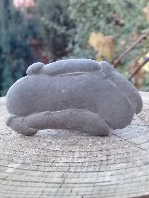 Pierre des fées - Ménalite du Québec pierre brute Grade A++++ Pierre des fées Ménalite du Québec pierre brute