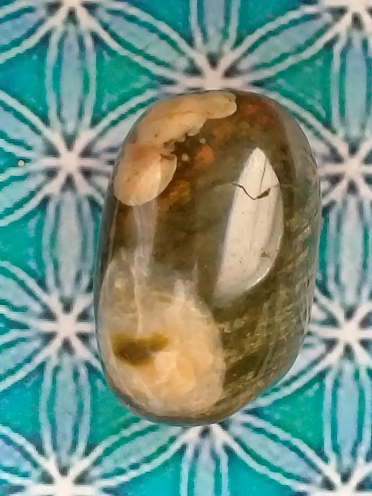 Pierre roulée Jaspe Rhyollite Grade A ++++ Pierre roulée Jaspe Rhyolite