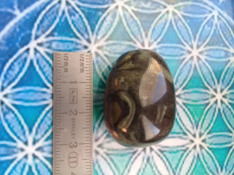 Chargez l&#39;image dans la visionneuse de la galerie, Pierre roulée Jaspe vert de Kambaba Grade A ++++ Pierre roulé Jaspe vert de Kambaba
