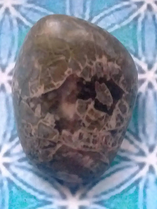 Pierre roulée Jaspe vert Grade A ++++ Pierre roulée Jaspe vert