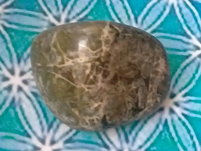 Load image into Gallery viewer, Pierre roulée Jaspe vert Grade A ++++ Pierre roulée Jaspe vert
