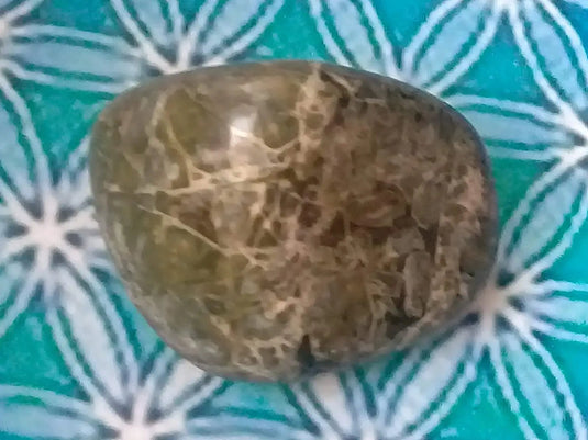 Pierre roulée Jaspe vert Grade A ++++ Pierre roulée Jaspe vert