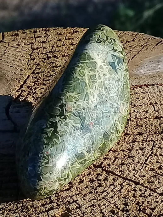 Pierre roulée Jaspe vert Grade A +++ Pierres roulées Jaspe vert