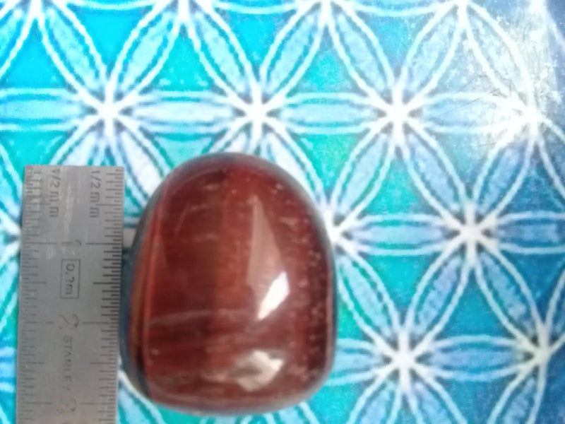 Chargez l'image dans la visionneuse de la galerie, Pierre roulée Œil de taureau Grade A ++++ Pierre roulée Œil de taureau
