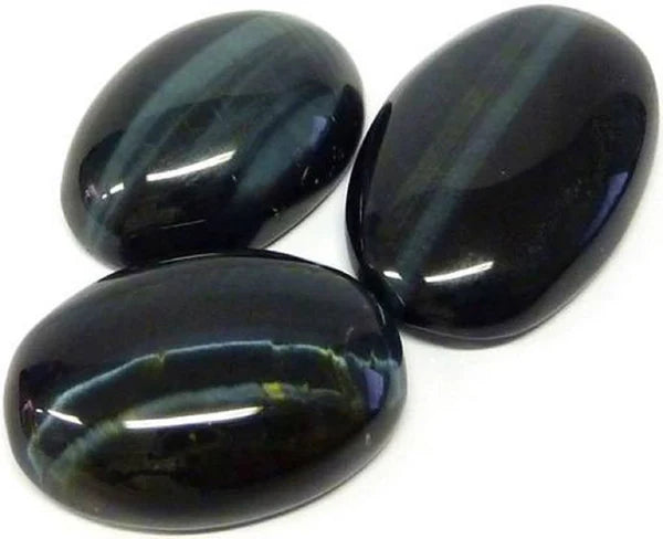 Œil de faucon d’Afrique du sud