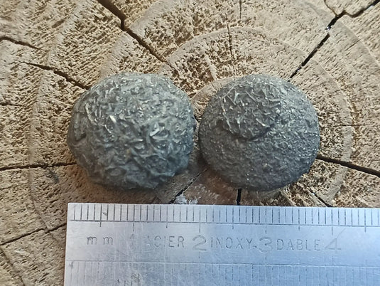 PIÑAS Isis et Osiris du Brésil Grade A++++ ’Très rare’ PIÑAS Isis et Osiris du Brésil