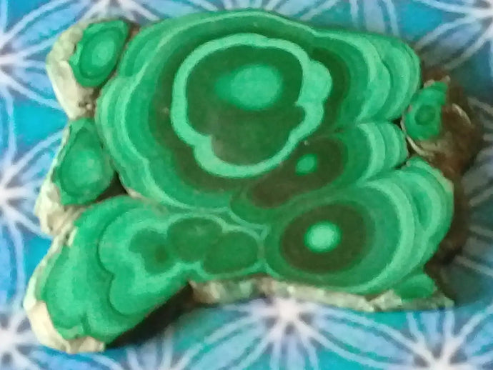 Plaque de Malachite polie Grade A ++++ Plaque de Malachite polie