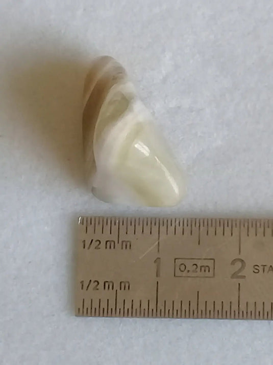 Prasiolite verte à chevrons pierre roulée Grade A++++ Prasiolite verte à chevrons