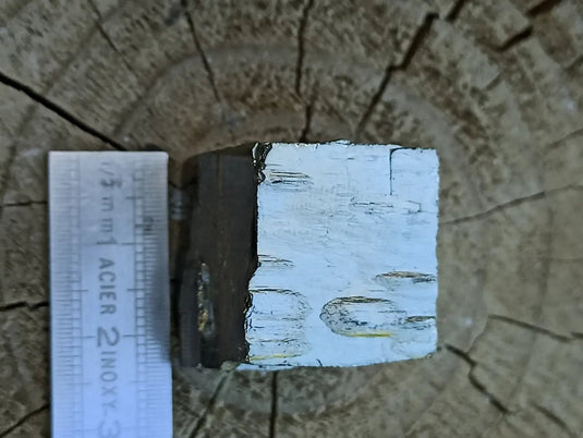 Pyrite d’Amérique du Sud cube brut Grade A ++++ Pierre brute