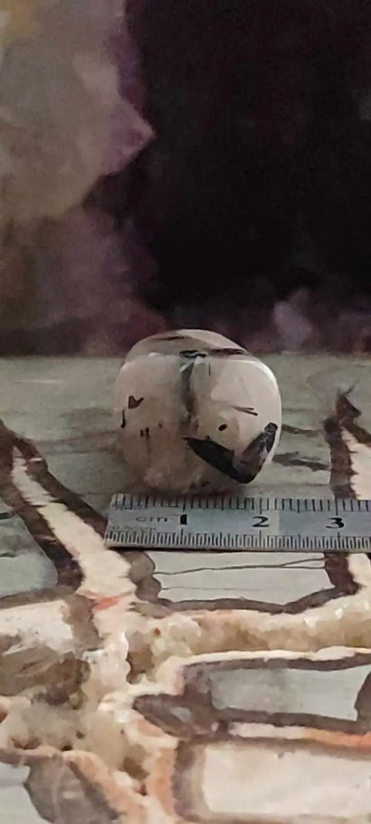 Quartz à inclusions de Tourmaline Brésil pierre roulée Grade A++++ Quartz à inclusions de Tourmaline