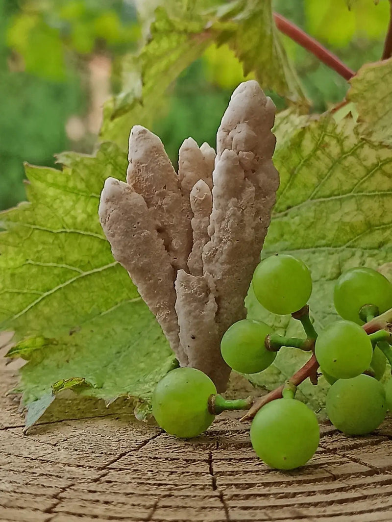 Load image into Gallery viewer, Quartz de Nazca Grade A ++++ (Extrêmement rare) Quartz de Nazca
