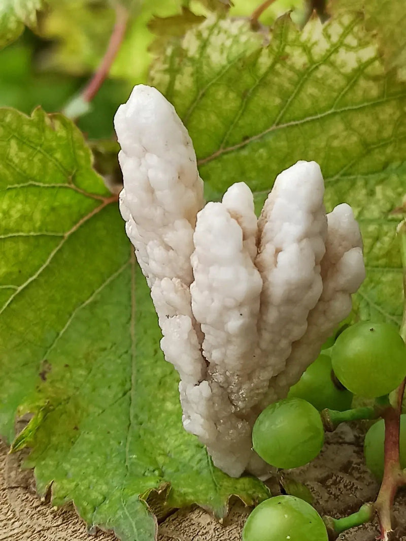 Load image into Gallery viewer, Quartz de Nazca Grade A ++++ (Extrêmement rare) Quartz de Nazca
