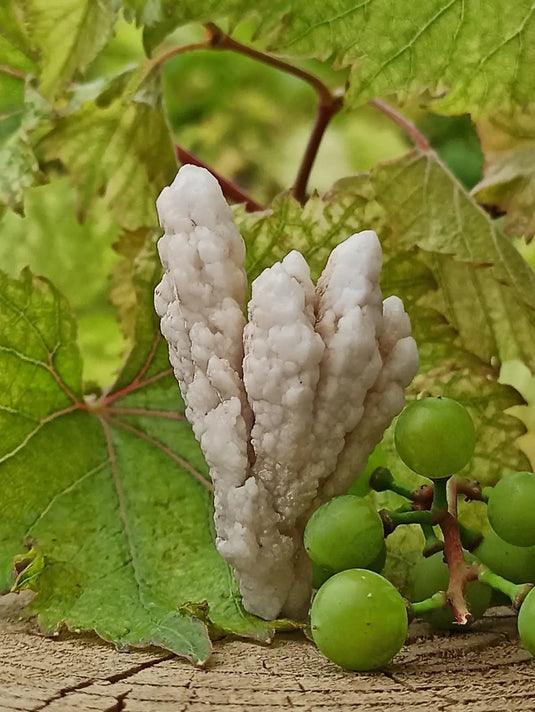 Quartz de Nazca Grade A ++++ (Extrêmement rare) Quartz de Nazca
