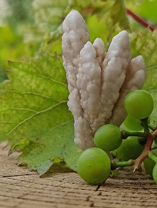 Quartz de Nazca Grade A ++++ (Extrêmement rare) Quartz de Nazca