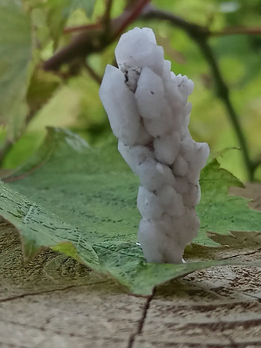 Quartz de Nazca Pérou Grade A ++++ (Extrêmement rare) Quartz de Nazca