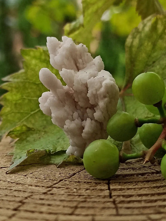 Quartz de Nazca Pérou Grade A ++++ (Extrêmement rare) Quartz de Nazca