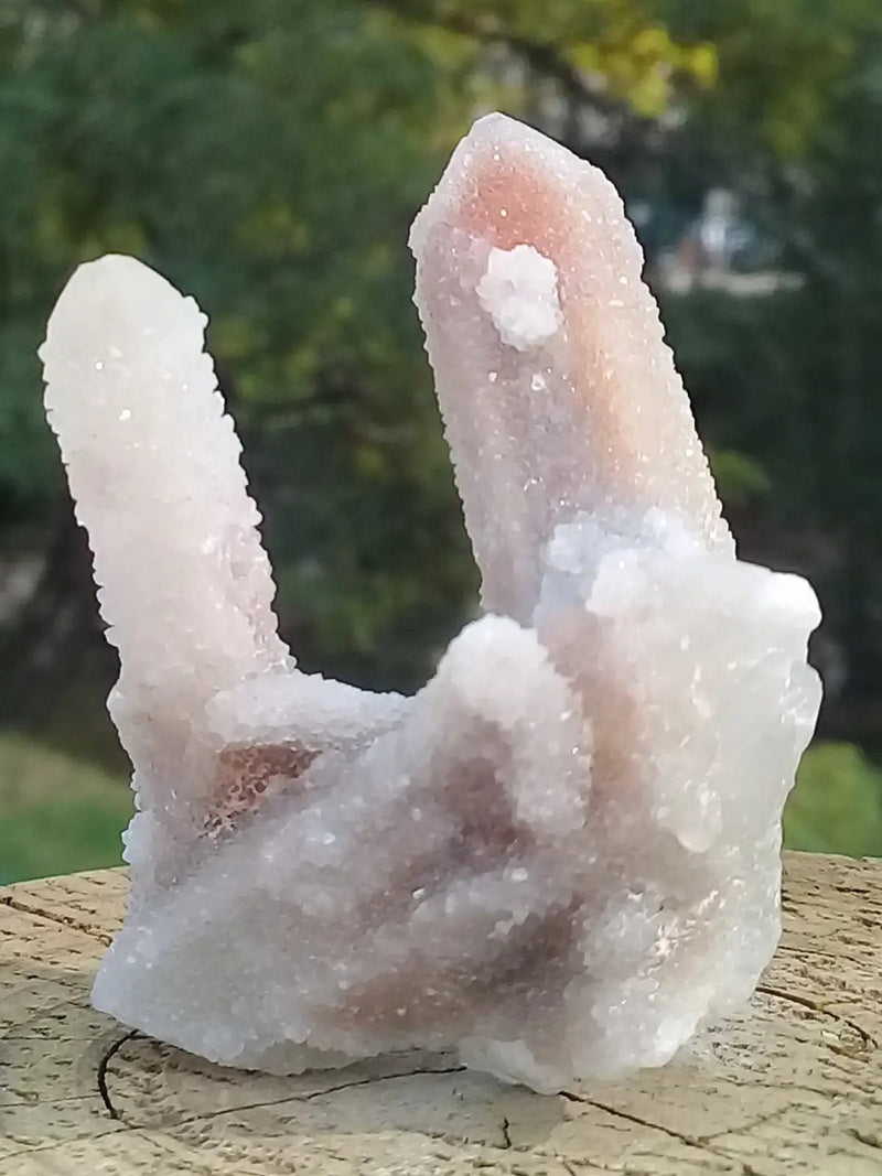 Load image into Gallery viewer, Quartz Doigt de Fée Grade A ++++ Quartz Doigt de Fée
