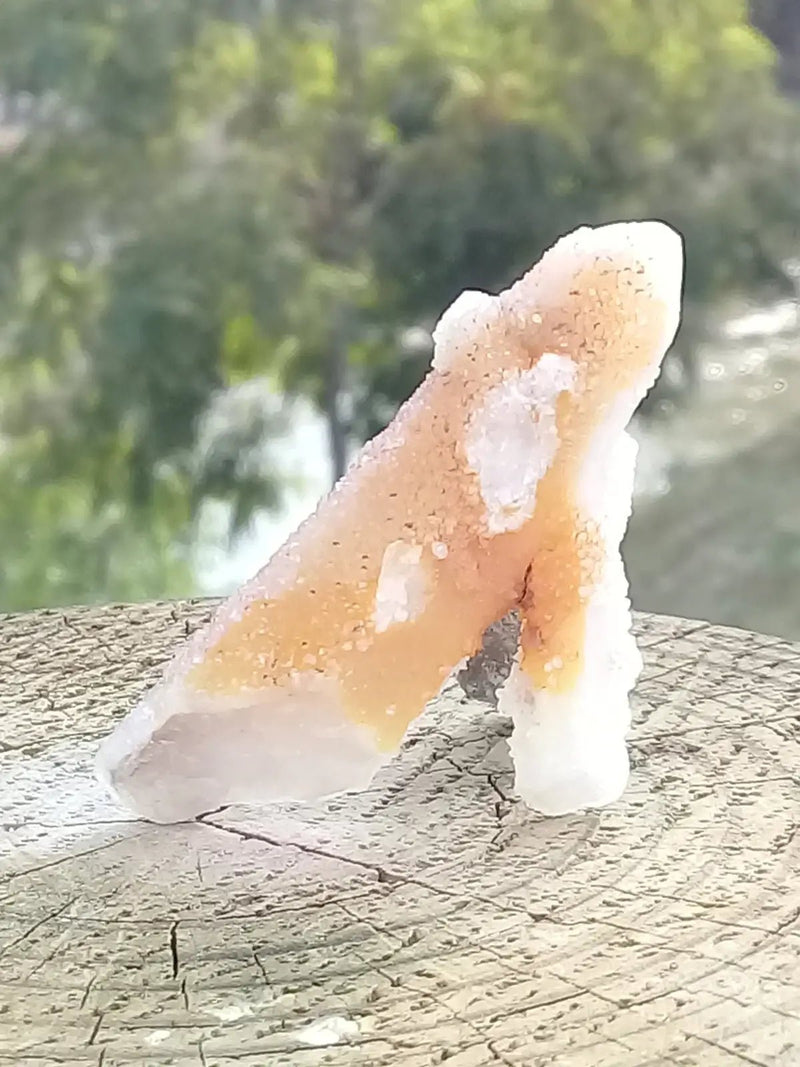 Load image into Gallery viewer, Quartz Doigt de Fée Grade A ++++ Quartz Doigt de Fée
