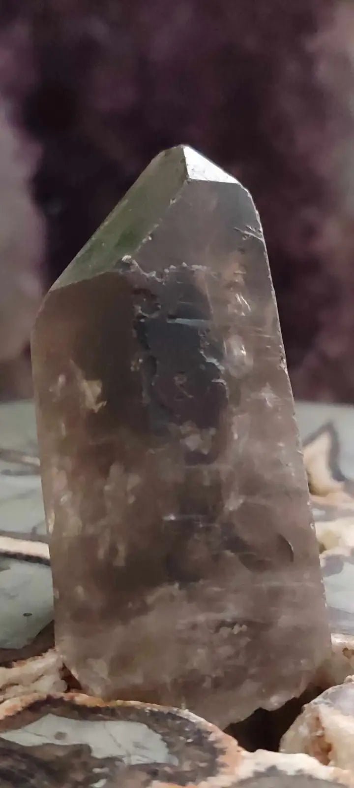 Chargez l&#39;image dans la visionneuse de la galerie, Quartz fumé du Brésil pointe brute Grade A++++ Quartz fumé pointe brute
