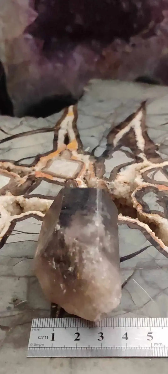 Quartz fumé du Brésil pointe brute Grade A++++ Quartz fumé pointe brute