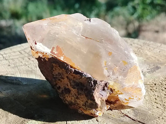 Quartz Green Ridge Clear Iron-Coated Grade A ++++ 5 x 2,5 x 2,8 cm Quartz Green Ridge Clear Iron-Coated