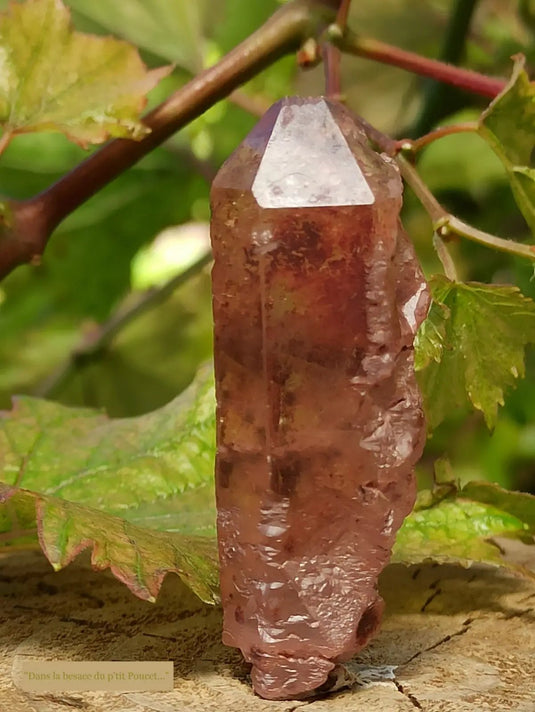 Quartz Nirvana ou Quartz de Glace de l’Himalaya Grade A ++++ (Très Rare)