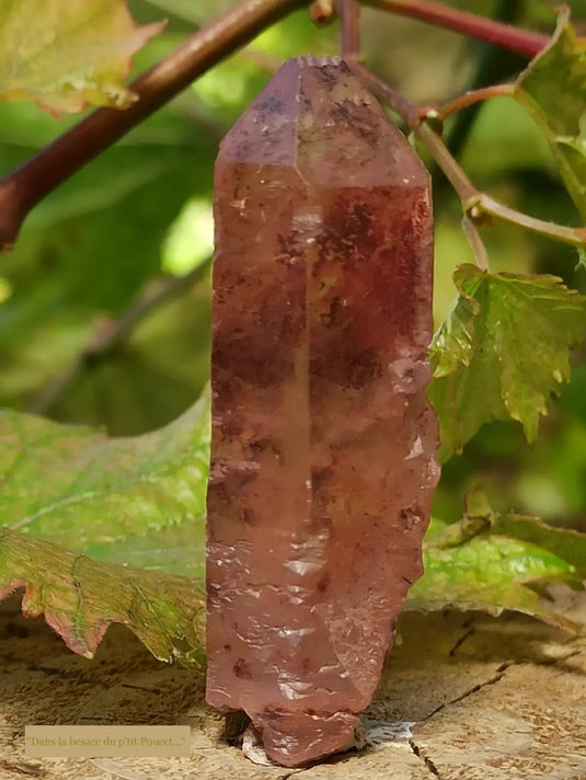 Quartz Nirvana ou Quartz de Glace de l’Himalaya Grade A ++++ (Très Rare)