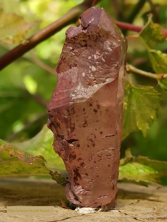 Quartz Nirvana ou Quartz de Glace de l’Himalaya Grade A ++++ (Très Rare)