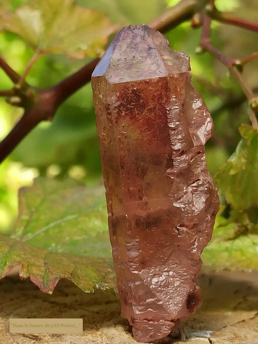 Quartz Nirvana ou Quartz de Glace de l’Himalaya Grade A ++++ (Très Rare)