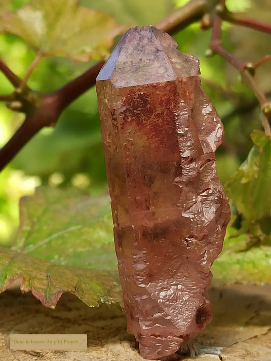Quartz Nirvana ou Quartz de Glace de l’Himalaya Grade A ++++ (Très Rare)