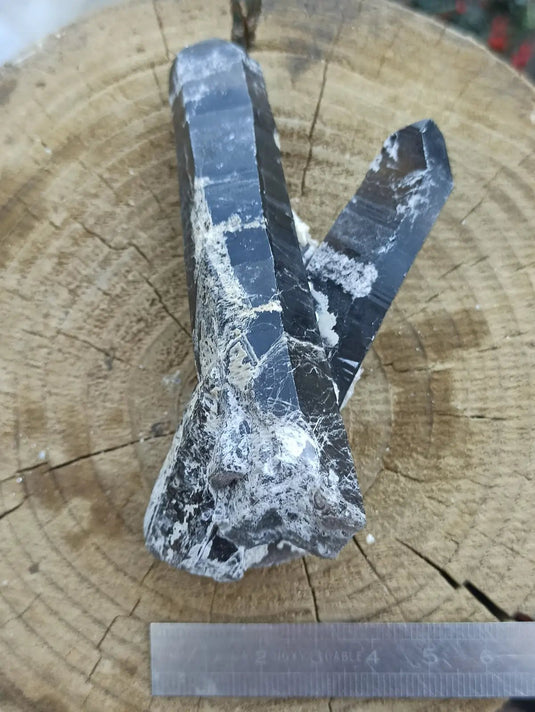 Quartz noir de Mongolie pointe brute Grade A++++ ’RARE’ Quartz noir de Mongolie