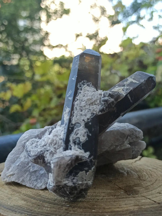 Quartz noir de Mongolie pointe brute Grade A++++ ’RARE’ Quartz noir de Mongolie