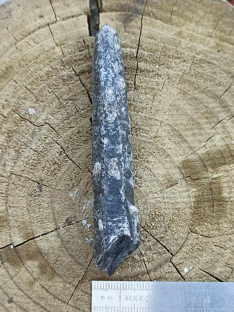 Load image into Gallery viewer, Quartz noir de Mongolie pointe brute Grade A++++ ’RARE’ Quartz noir de Mongolie
