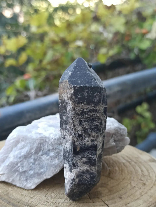 Quartz noir de Mongolie pointe brute Grade A++++ ’RARE’ Quartz noir de Mongolie