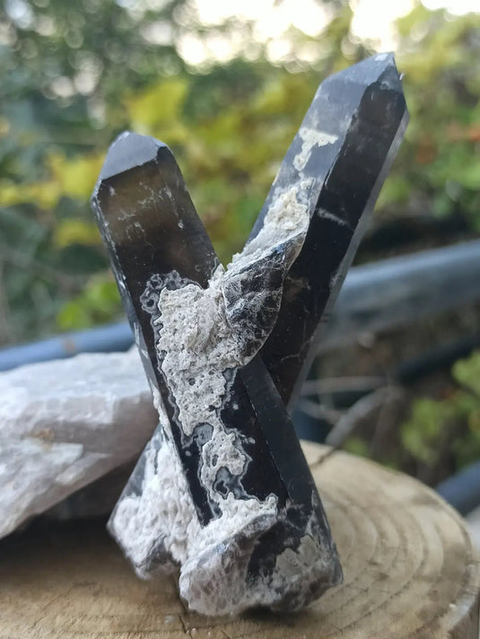 Quartz noir de Mongolie pointe brute Grade A++++ ’RARE’ Quartz noir de Mongolie