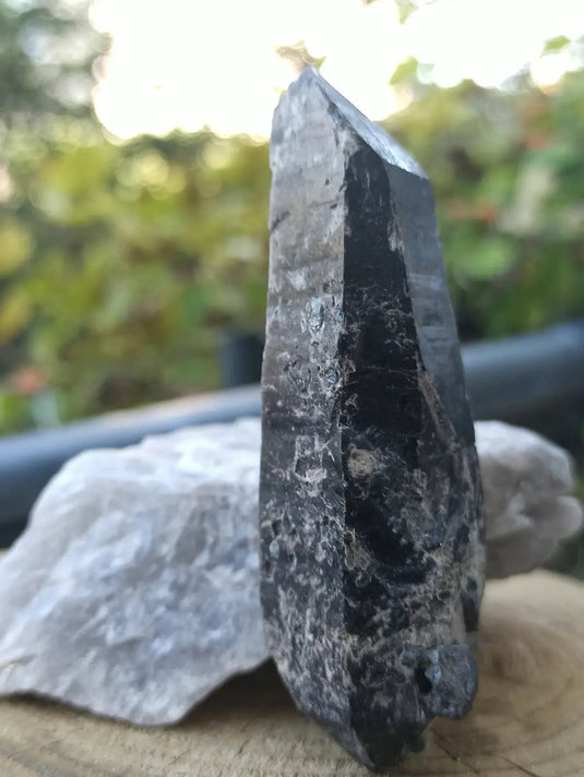 Quartz noir de Mongolie pointe brute Grade A++++ ’RARE’ Quartz noir de Mongolie