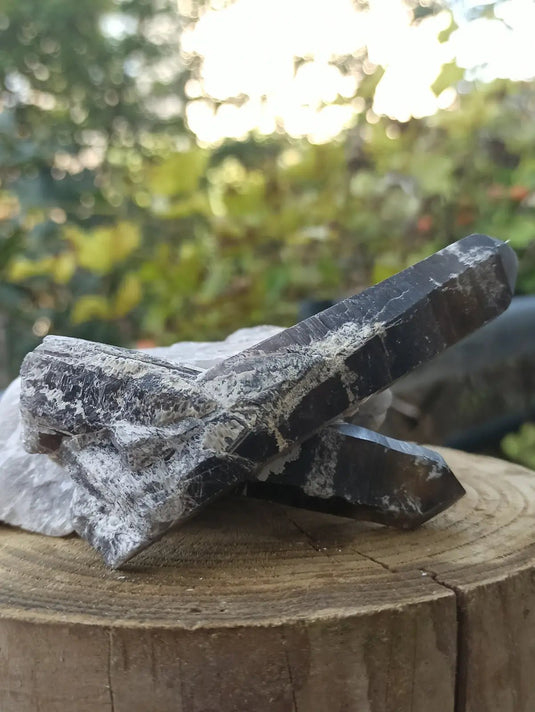 Quartz noir de Mongolie pointe brute Grade A++++ ’RARE’ Quartz noir de Mongolie