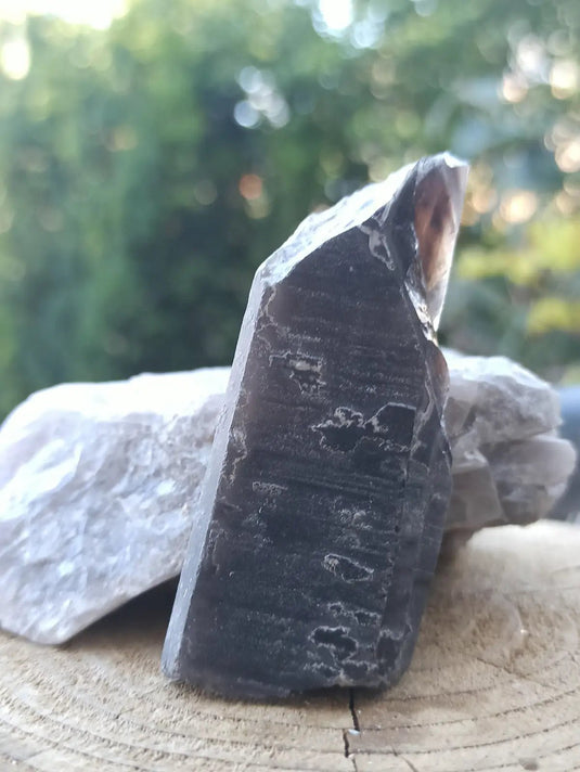 Quartz noir de Mongolie pointe brute Grade A++++ ’RARE’ Quartz noir de Mongolie