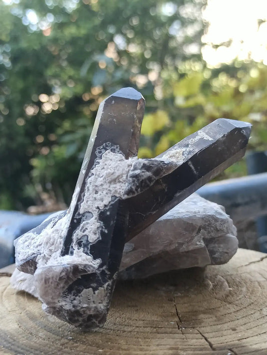 Quartz noir de Mongolie pointe brute Grade A++++ ’RARE’ Quartz noir de Mongolie