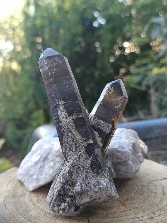 Quartz noir de Mongolie pointe brute Grade A++++ ’RARE’ Quartz noir de Mongolie